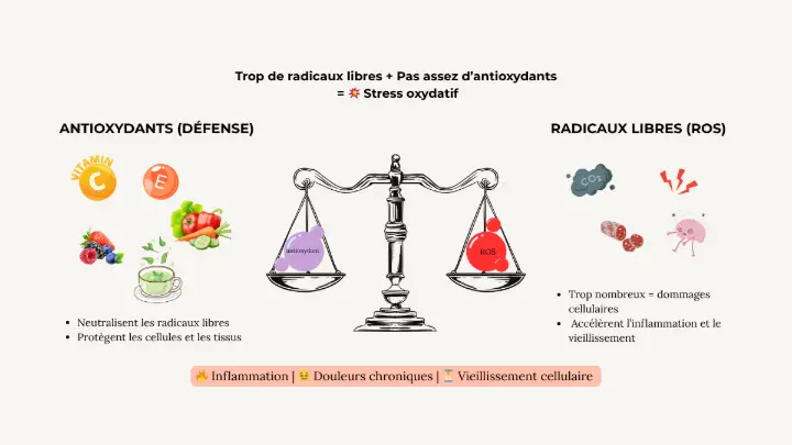 Balance entre antioxydants et radicaux libres – stress oxydatif et endométriose
